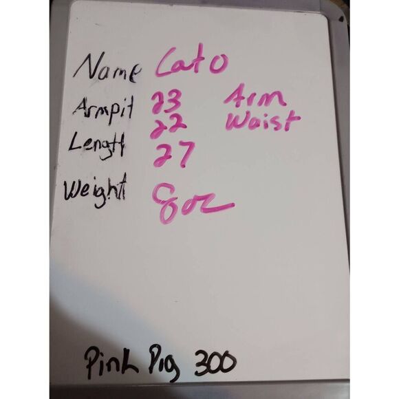 Cato Shirt Ladies 18 Button Front Chambray‎ Ruffle Western - Picture 7 of 7